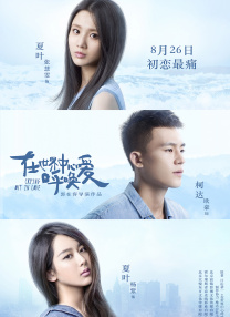 完美的他人：秘密的冲浪