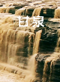 亚洲精品国产不卡在线观看